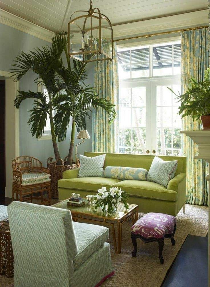 Vibrant Traditional Living Room with Tropical Accents