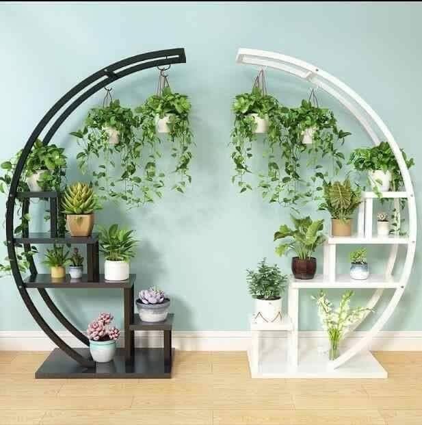 Modern Indoor Plant Display with Circular Metal Shelves